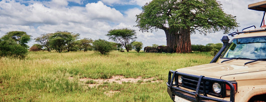 Kenya vs Tanzania Safari: Complete Comparison Guide to Choose Your Perfect African Adventure