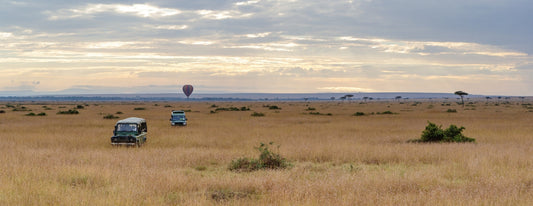 Why Kenya is a world renowned safari destination