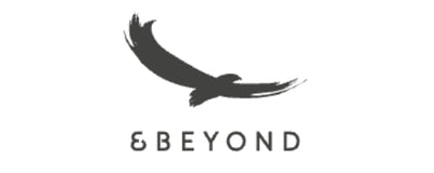 & Beyond