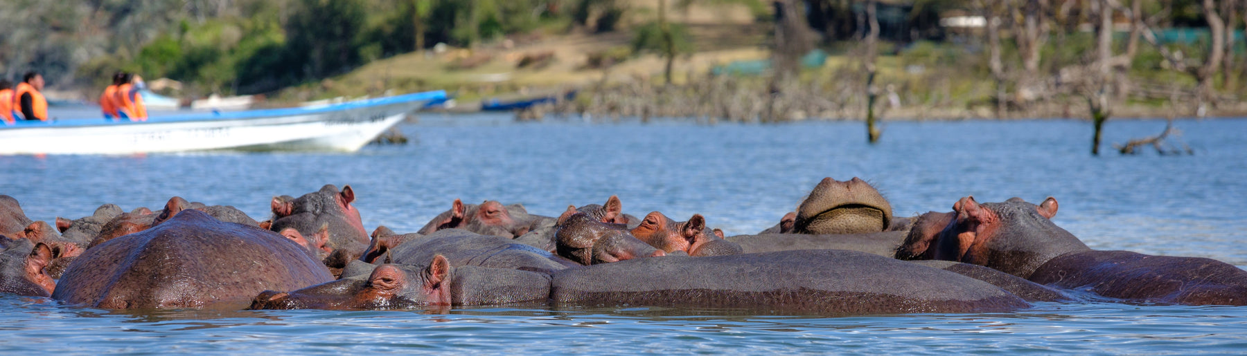 Day 1: Arrival & Journey to Lake Naivasha
