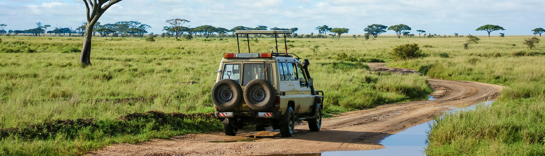 Day 1: Arrival – Kilimanjaro Airport to Central Serengeti & Afternoon Safari