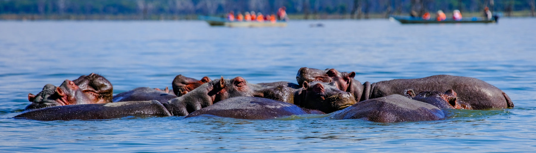 Day 1: Arrival – Lake Naivasha & Boat Ride Experience