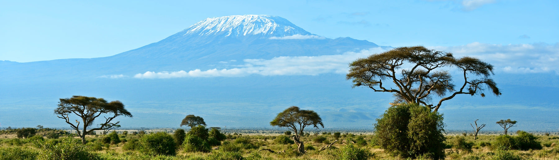 Day 2: Exploring Amboseli National Park
