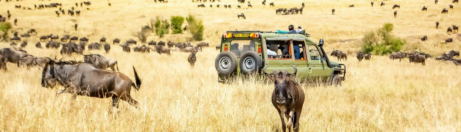 Day 2: Lake Naivasha to Maasai Mara & Village Experience