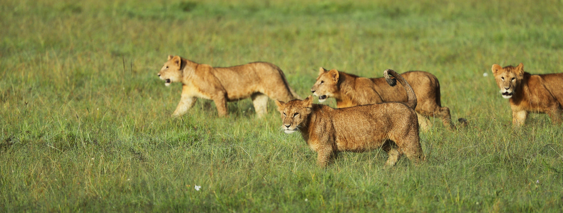 Day 9: Departure from Nairobi