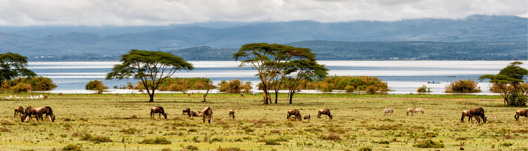 Day 2: Journey to Lake Naivasha & Boat Ride Experience