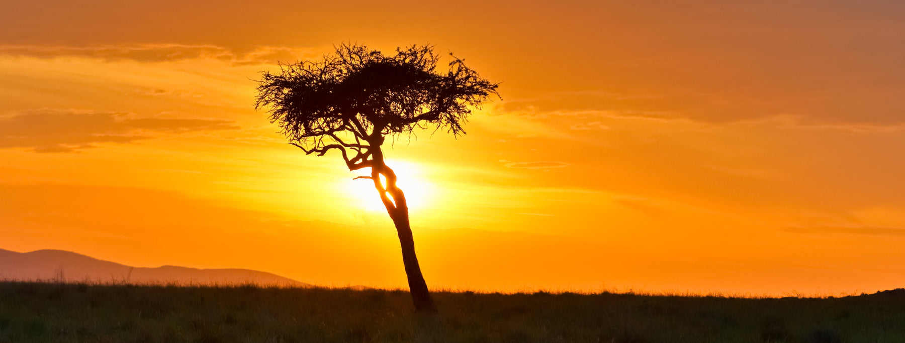 Day 8: Masai Mara to Nairobi – City Experience