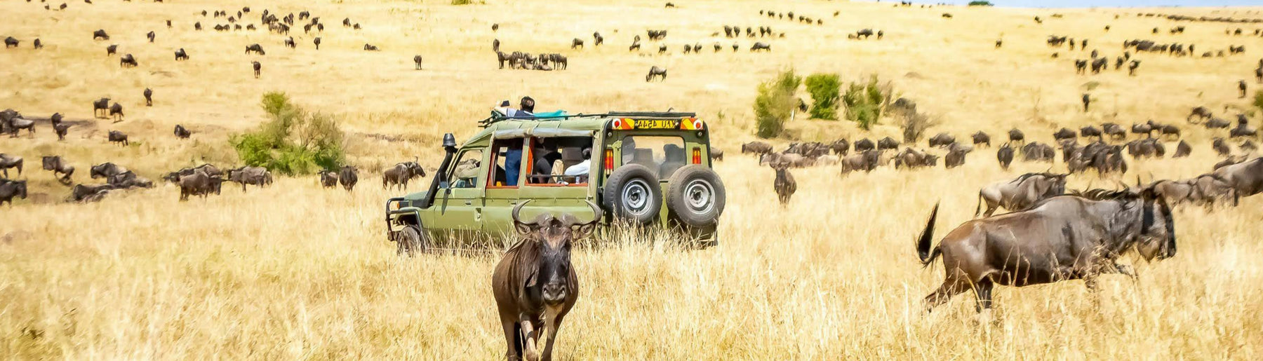 Day 4-5: Drive to North Serengeti & Safaris
