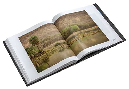 The New Big 5: A Global Photography Project for Endangered Species