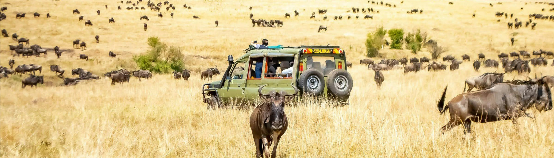 Day 5: Lake Naivasha to Masai Mara & Village Experience