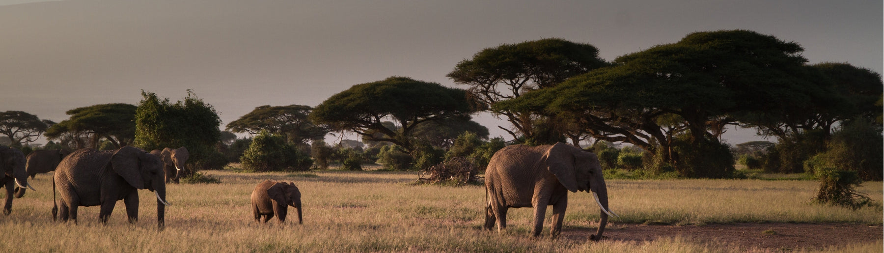 Day 9-10: Drive to Amboseli & Safaris