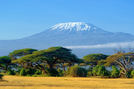 Why Kenya is a world renowned safari destination