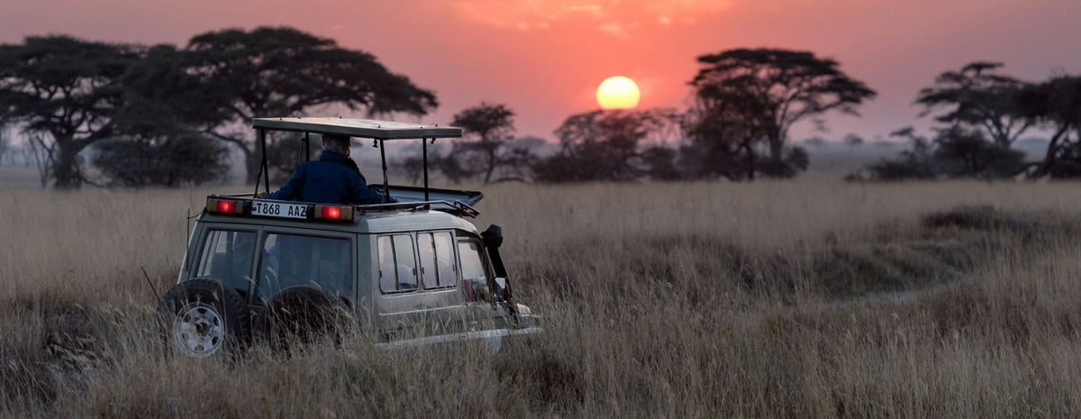 Masai Mara vs Serengeti
