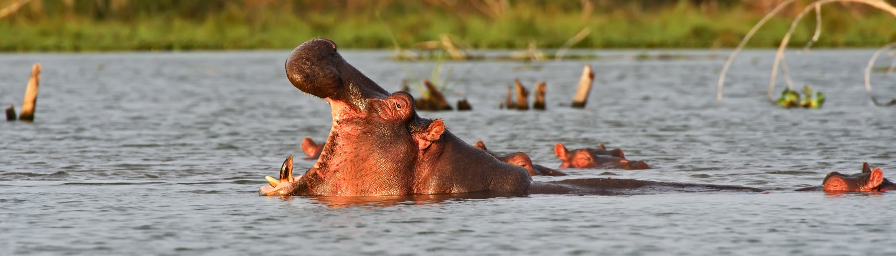 Day 1: Arrival – Lake Naivasha & Boat Ride Experience