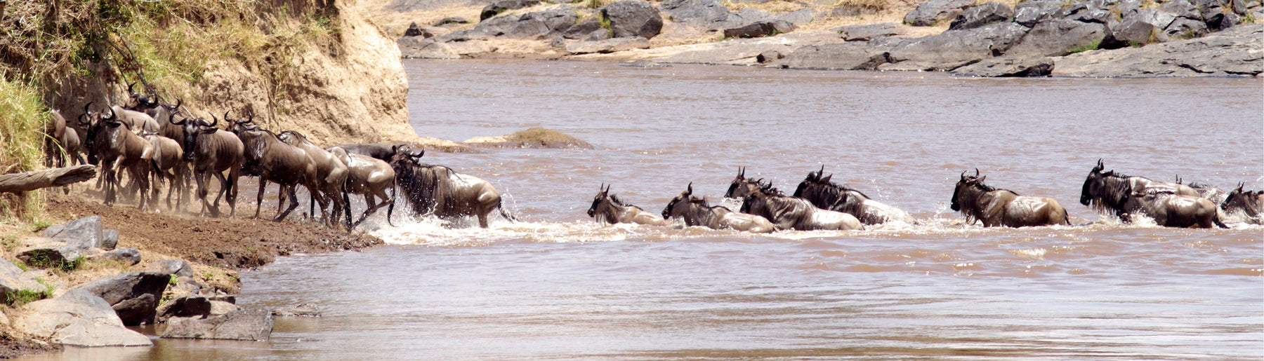 Day 1: Arrival & Flight to the Mara