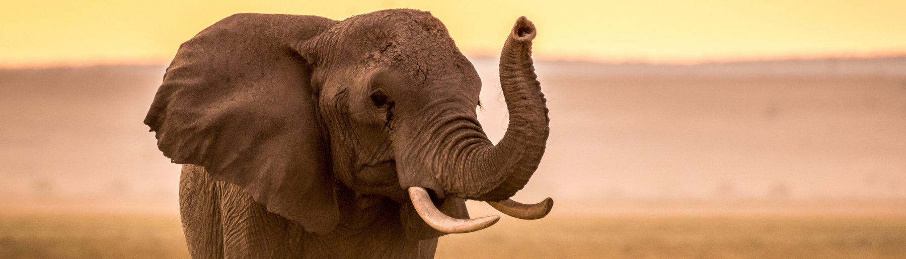 Day 1: Arrival – Amboseli National Park & Evening Safari