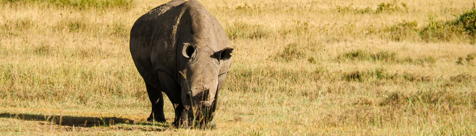 Day 1: Arrival & Journey to Lake Nakuru