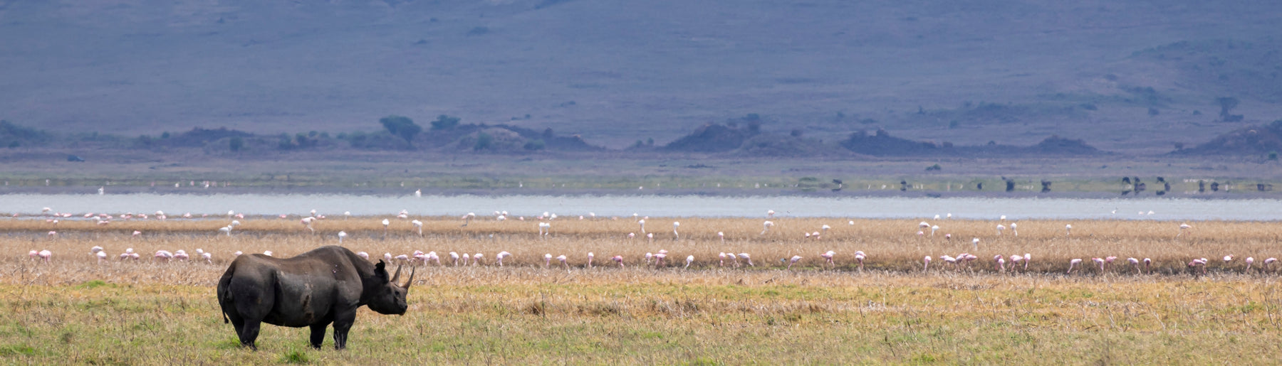 Day 1: Arrival – Kilimanjaro Airport to Ngorongoro Crater Safari