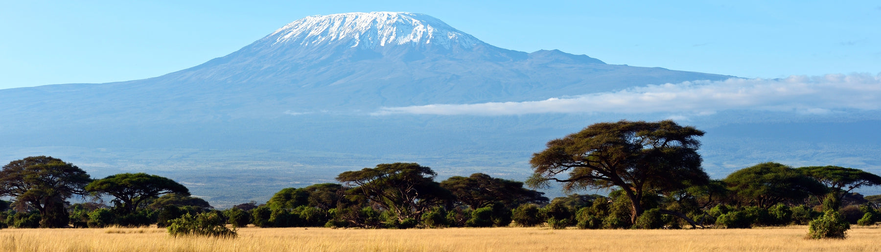 Day 2: Exploring Amboseli