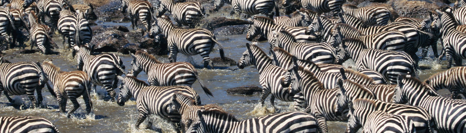 Day 2-3: Exploring Masai Mara