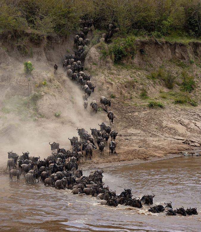 Great migration