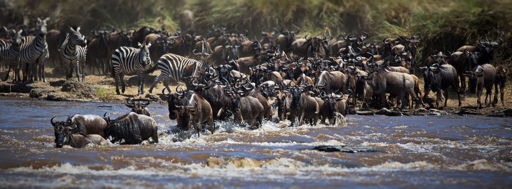 Chaos on the Plains