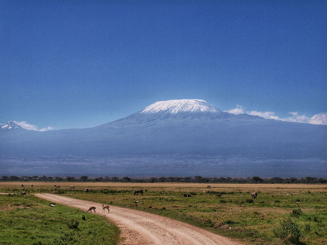 Road to Kilimanjaro