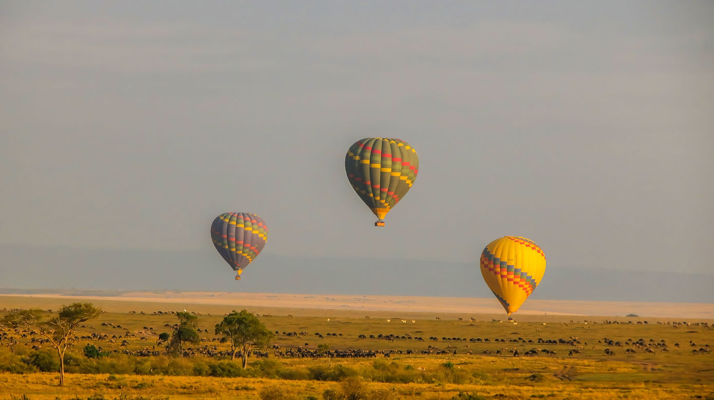 Hot air balloon ride
