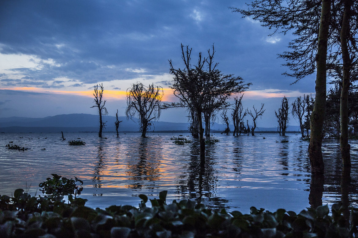 Lake Naivasha