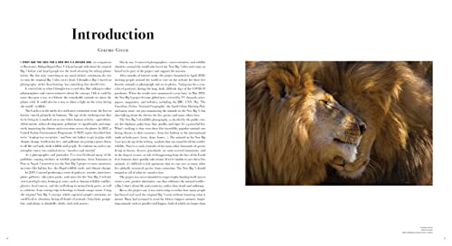 The New Big 5: A Global Photography Project for Endangered Species