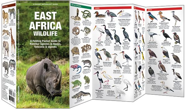 East Africa Wildlife (Nature Observation International)