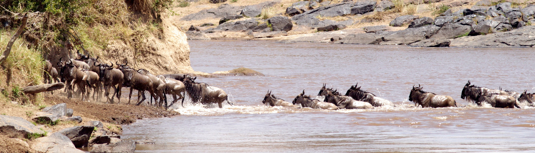 Day 5-6: Exploring Maasai Mara