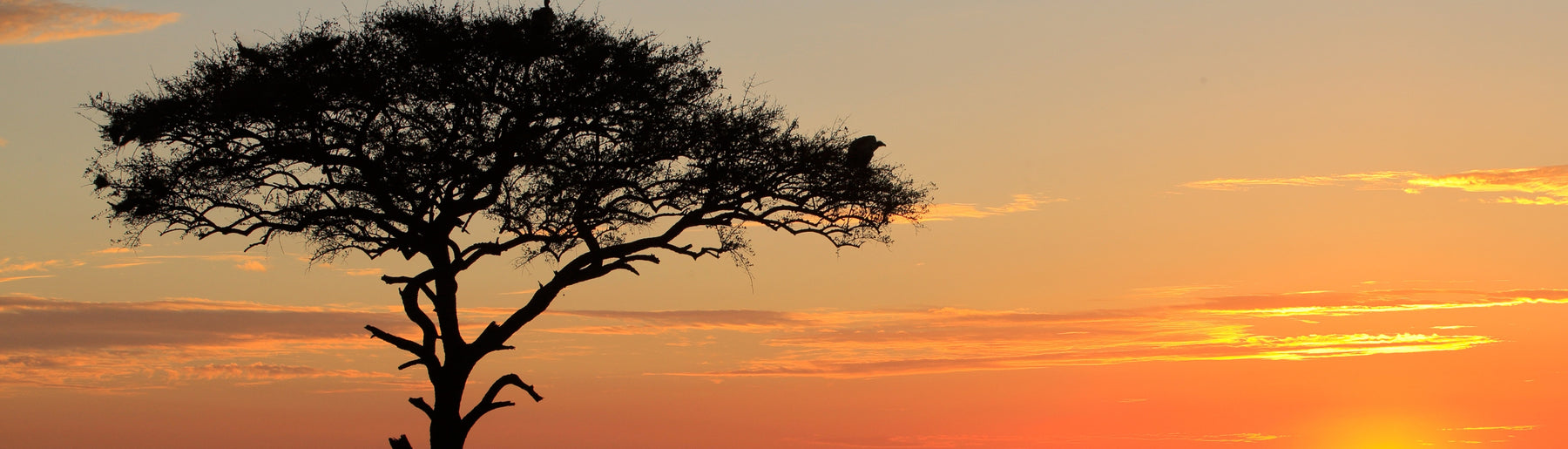 Day 6: Maasai Mara to Nairobi – Departure