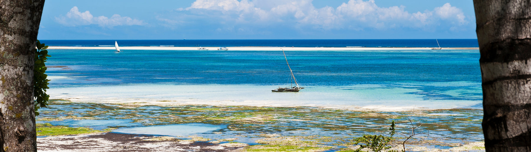 Day 7: Diani to Nairobi – Departure