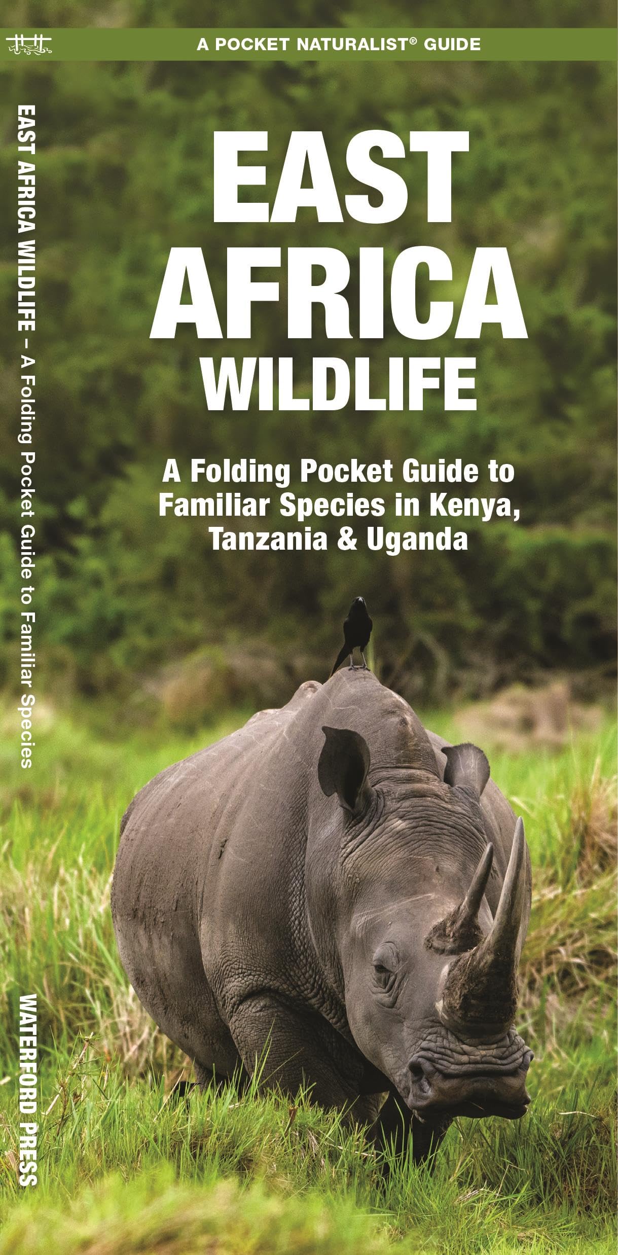 East Africa Wildlife (Nature Observation International)
