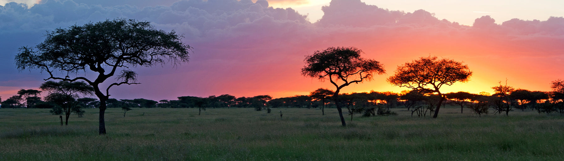 Day 9: Drive to Kilimanjaro, Departure