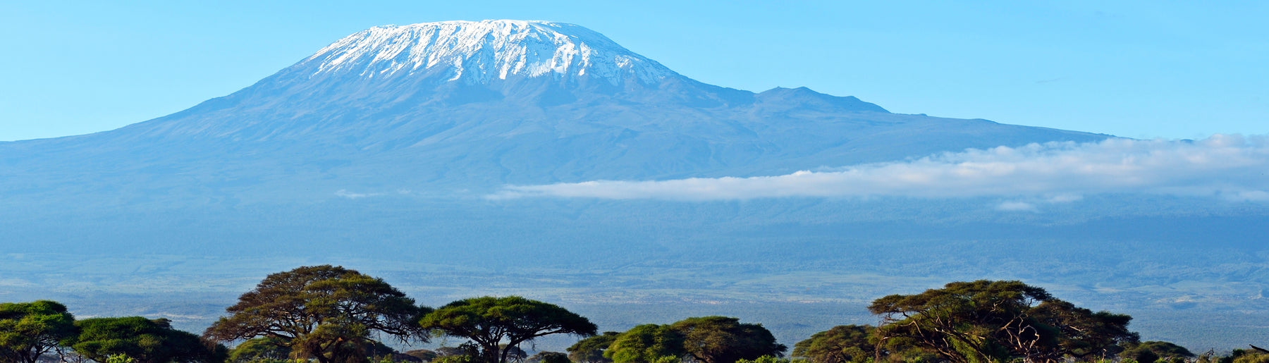 Day 11: Return to Nairobi