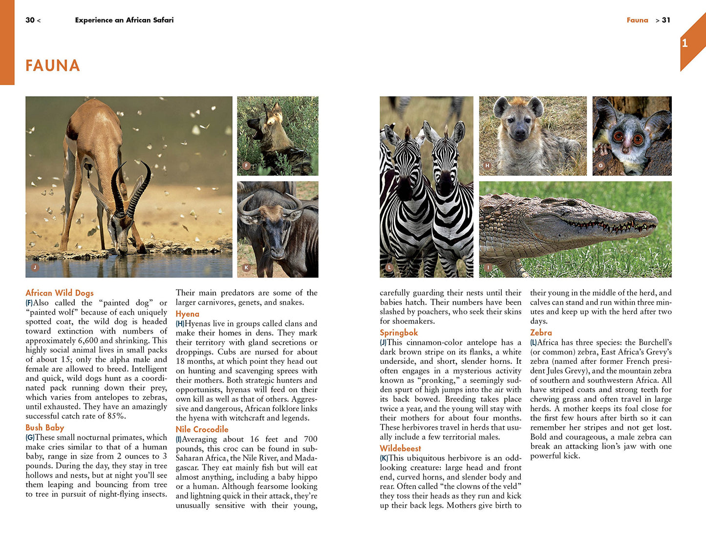 Fodor's the Complete Guide to African Safaris: with South Africa, Kenya, Tanzania, Botswana, Namibia, & Rwanda (Full-color Travel Guide)