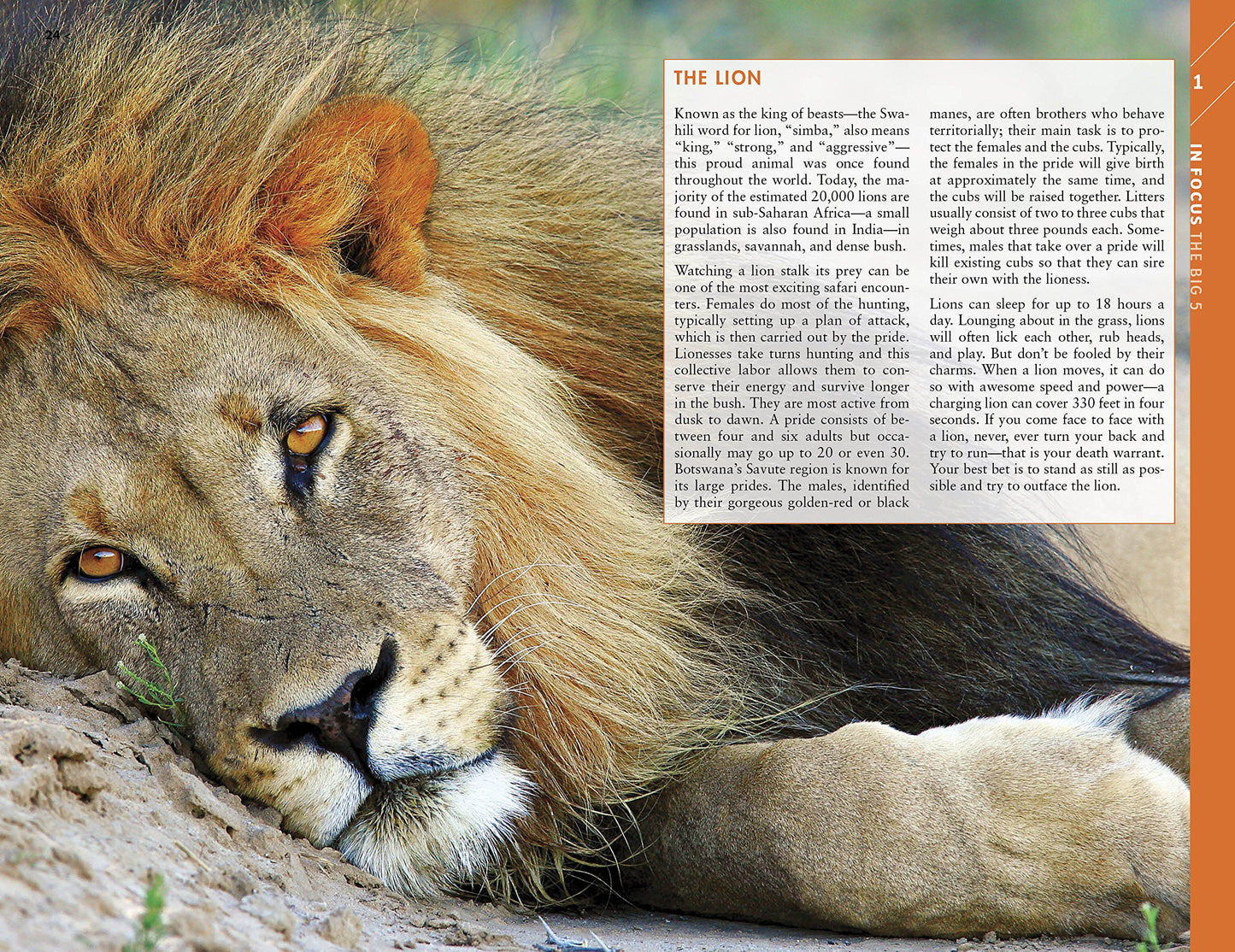 Fodor's the Complete Guide to African Safaris: with South Africa, Kenya, Tanzania, Botswana, Namibia, & Rwanda (Full-color Travel Guide)