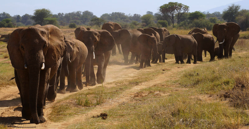 Across Kenya Together