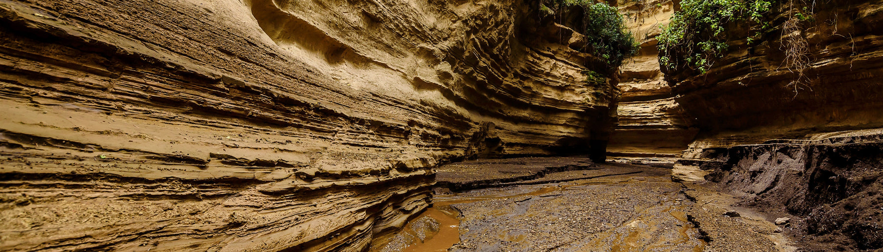 Day 4: Hell’s Gate & Geothermal Adventures